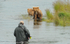 Grizzly and fishermen.