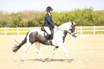 SBM_007887