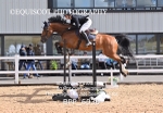 BPP_6030
