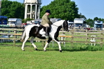 SBM_11377