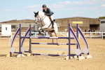 SBM_007352