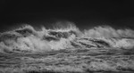 DSCF3167