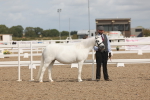 SBM_04933