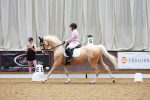 SBM_007728