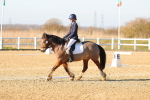 SBM_004517