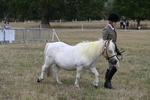 WJ6_6127