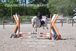 BPP_6946