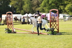 SBM_11236