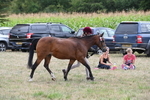 WJ6_6190
