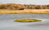 Burton Mere 3