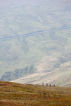 Four go Mountain Biking