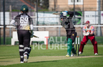 Cannaccord Griffins v Sparsholt-30