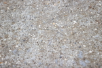 SBM_002657
