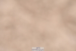 231217A-110835-00259