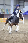 SBM_004192