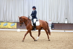SBM_001985