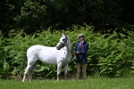 WJ7_2761