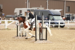 SBM_007065