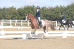 SBM_001569