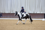SBM_001343