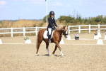 SBM_013856