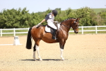 SBM_008581