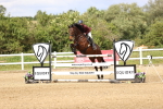 SBM_008081