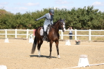 SBM_013621
