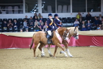 SBM_15198
