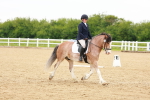 SBM_005995