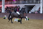 SBM_003222