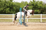 SBM_008674