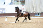 SBM_000925