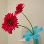 Kings Road_Interior-43