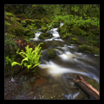 Lodore Falls