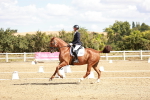 SBM_009357
