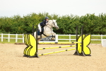 SBM_000956