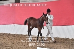 BPP_2192