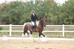 SBM_003607