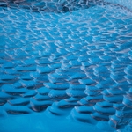 Ice from the bottom of a glacier - blue (due to refraction) and no air