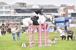BPP_6909
