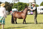 SBM_01831
