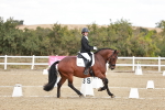 SBM_018217