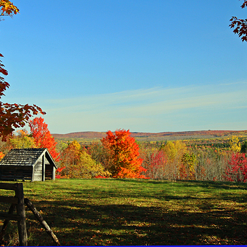 A typical country road view in autumn.