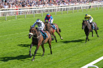 120725-Race 4-Al Qareem-5786
