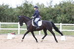 SBM_017567