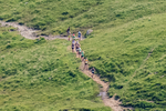 Wasdale-173
