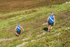 Loweswater Show-787