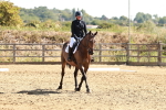 SBM_000723