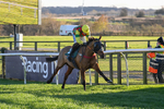 221124-Race 4-Duke Of Luckley-5150